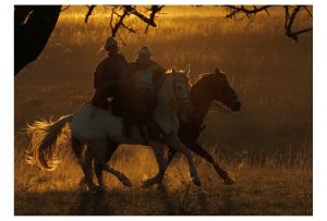 Pega de Boi do Mato Serrita_PE_02
