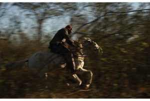 Pega-de-Boi-do-Mato-Serrita_PE