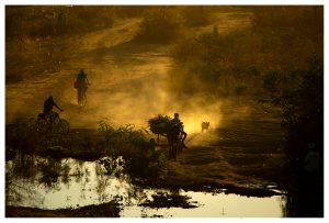 Sertao_Bom-Jesus-da-Lapa_BA
